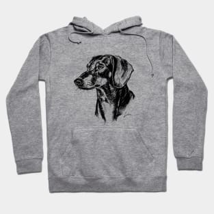 Dachshund dog drawing Hoodie